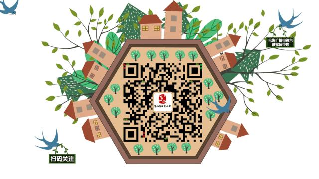 乌海十二时辰感人视频,乌海冬至去哪里