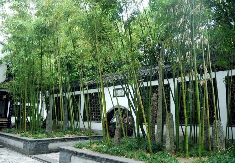 历史最悠久的城市是西安还是洛阳,古今对比西安