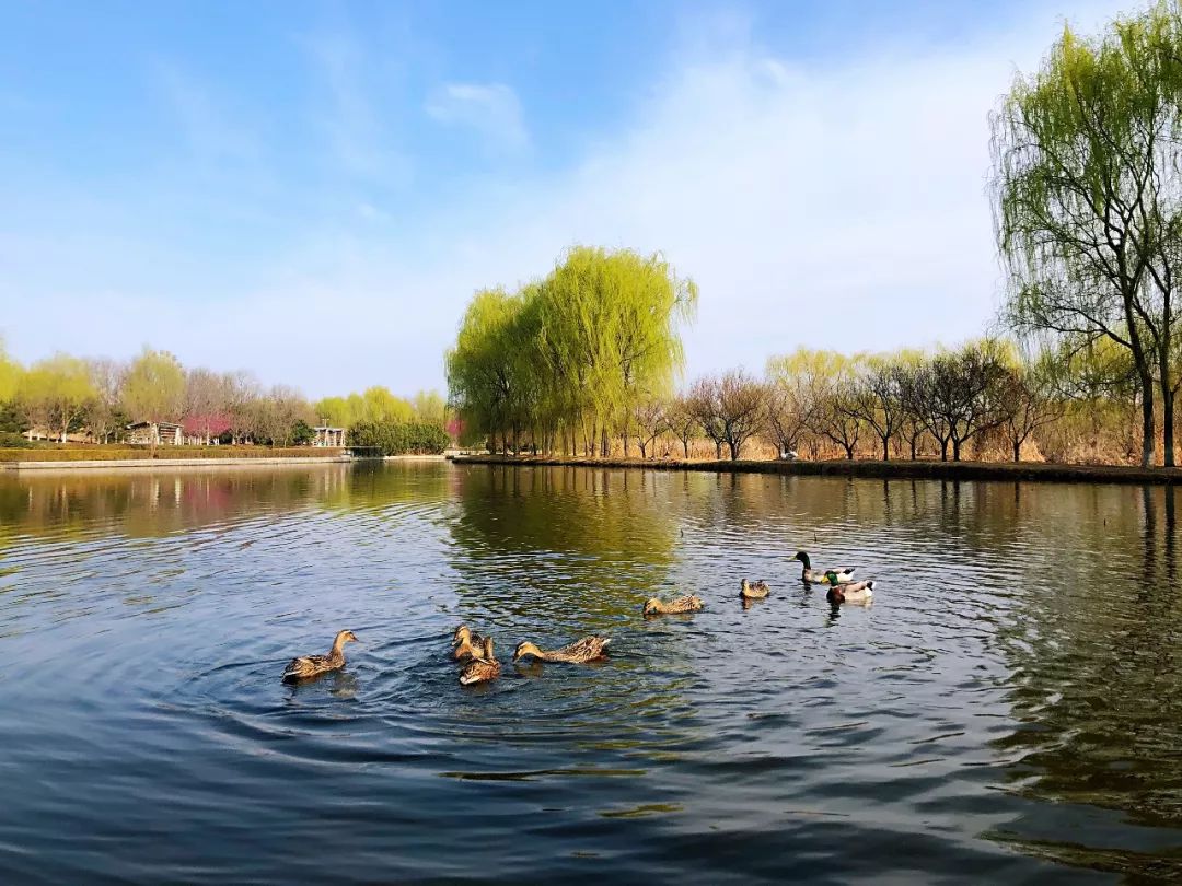 新宠驾到视频大全,新宠驾到完整视频