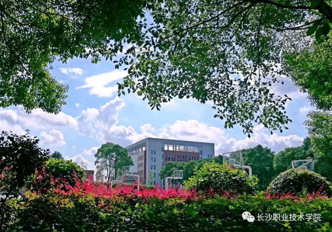 【长职热点】我们在长职机汽分院等你！