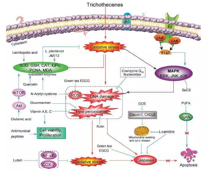 今年京东618大促开始了吗,京东618大促活动中哪些商品有折扣