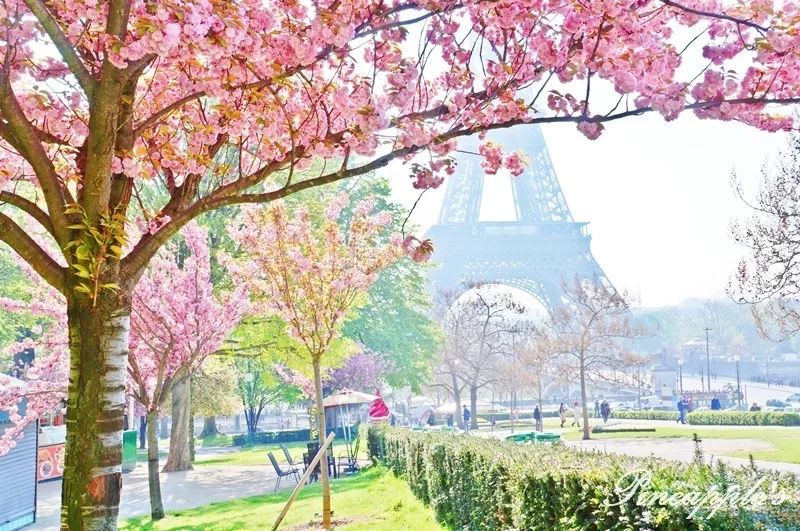 美容养生送泥灸福利,理疗养生福利