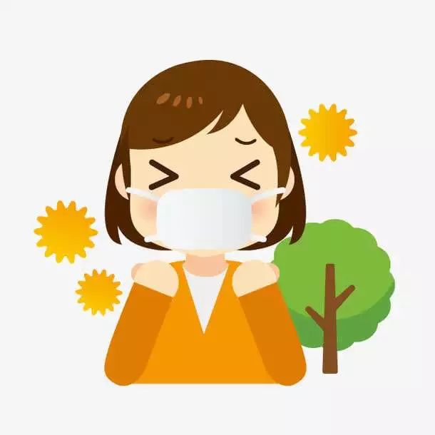 康巴什绿化带植物,康巴什过敏