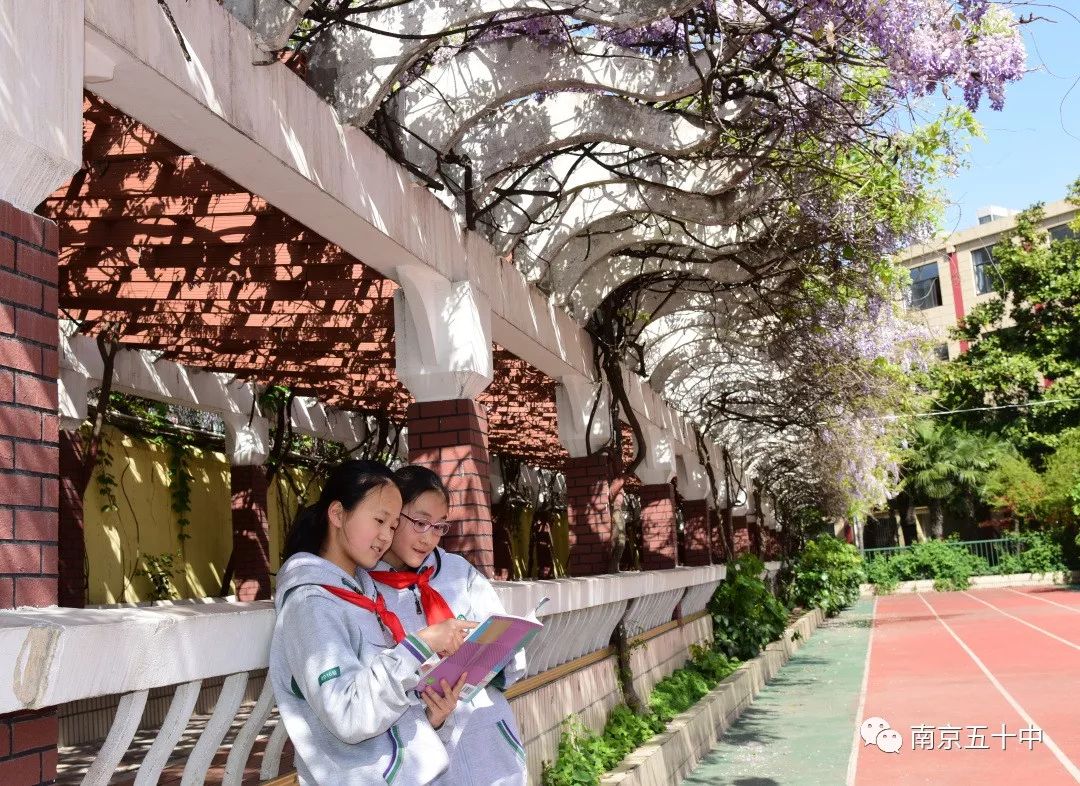 在市中心的学校,花园式学校值得孩子们拥有