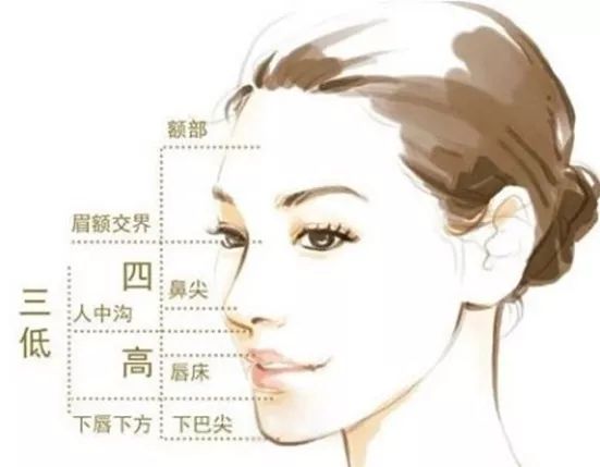 怎么判断自己的鼻子算不算美鼻,什么样的鼻子美