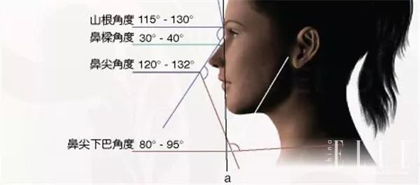 怎么判断自己的鼻子算不算美鼻,什么样的鼻子美