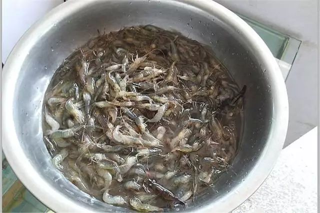 中等大小河虾怎么处理,放河虾笼的技巧视频
