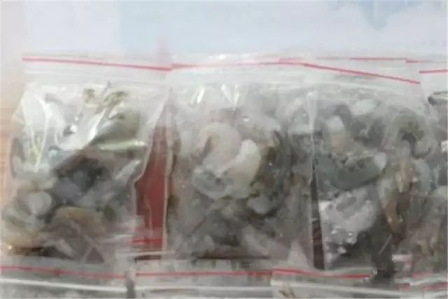 中等大小河虾怎么处理,放河虾笼的技巧视频