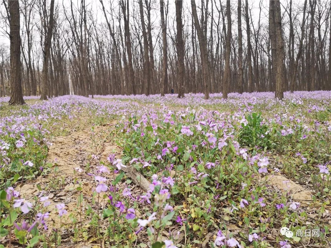 徒步穿越古道旅游,穿越黄河源自驾