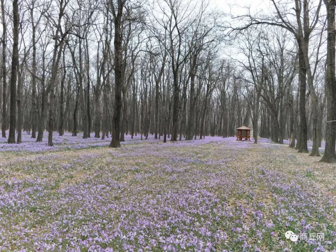 徒步穿越古道旅游,穿越黄河源自驾