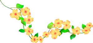 澶╂按绉﹀窞澶фū妗冪孩閫忓崐杈瑰ぉ,鐢樿們澶╂按绉﹀窞寰愬灞卞ぇ妯辨