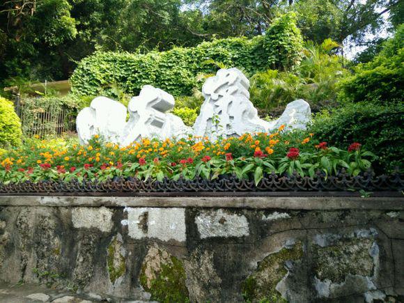 厦门旅游攻略五天四夜,厦门旅游攻略推荐地方