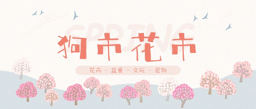 花色撩人，亲测德阳这两家花市，“花chi”去了就不想出来！