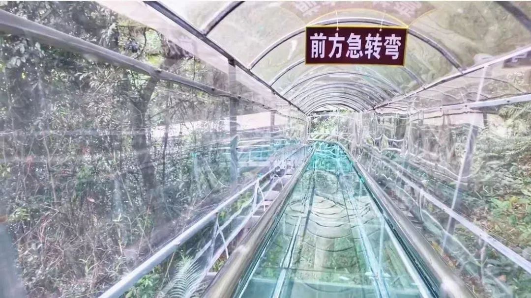 只要¥488元，珠光御景温泉美食酒店随你浪！温泉SPA+自助餐+精美下午茶+龙归寨门票~周末通用！