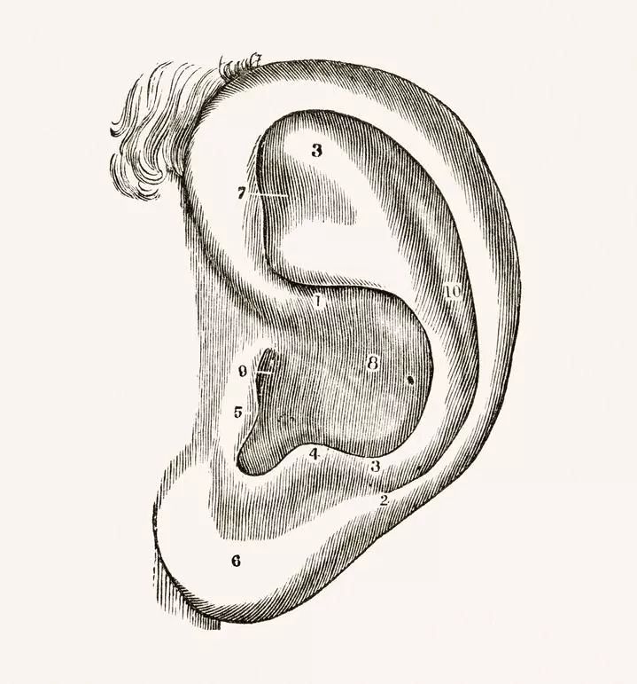 嘴巴合不上需要矫正,嘴巴合不上是什么原因引起的