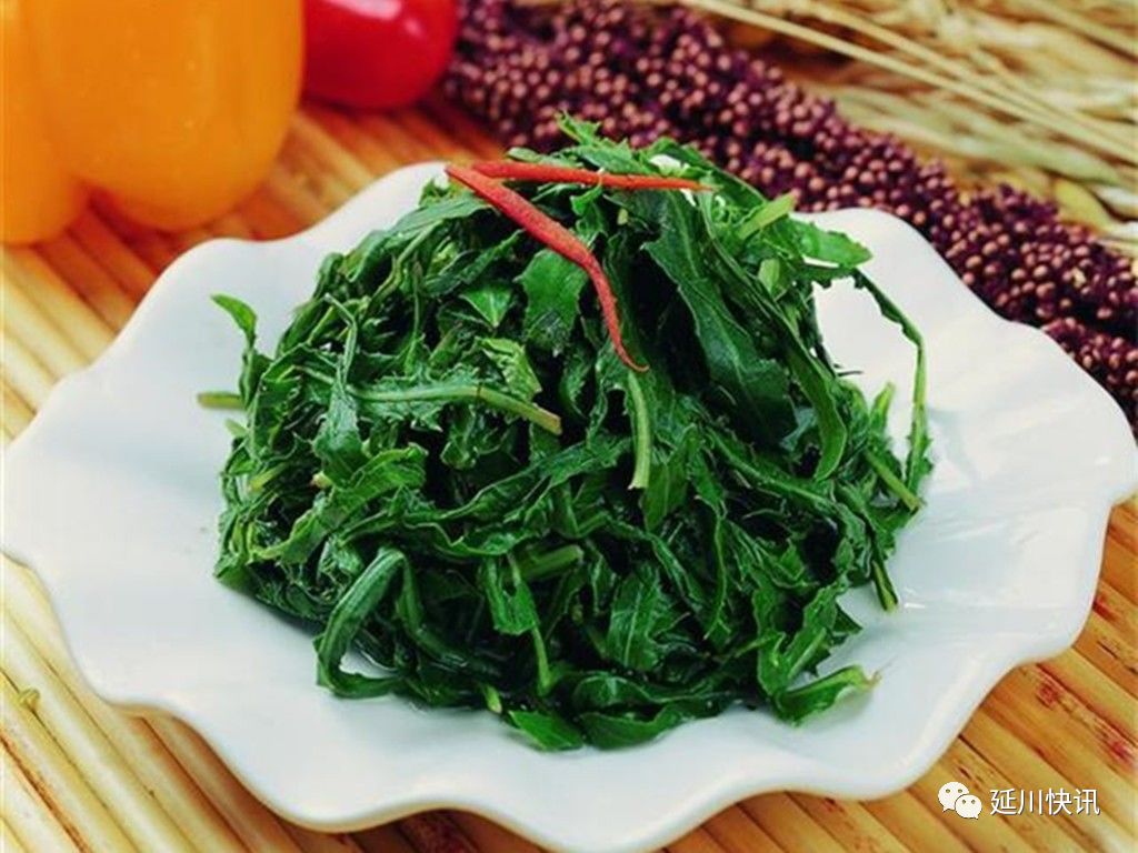 刘凤珍最美散文,刘凤珍散文精选