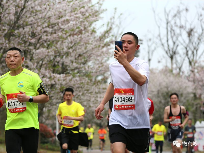 东马是啥？——写在2019“千禾”眉山东坡国际半程马拉松赛圆满落幕之际