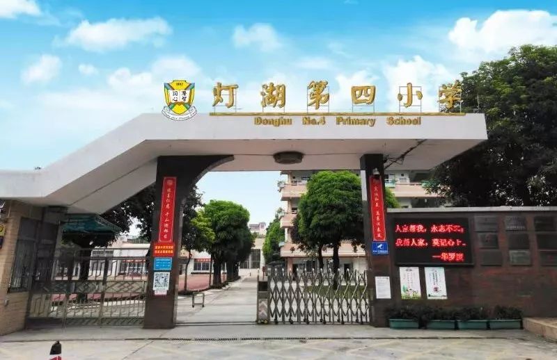 老照片1987年的夏天校园,夏西旧照片