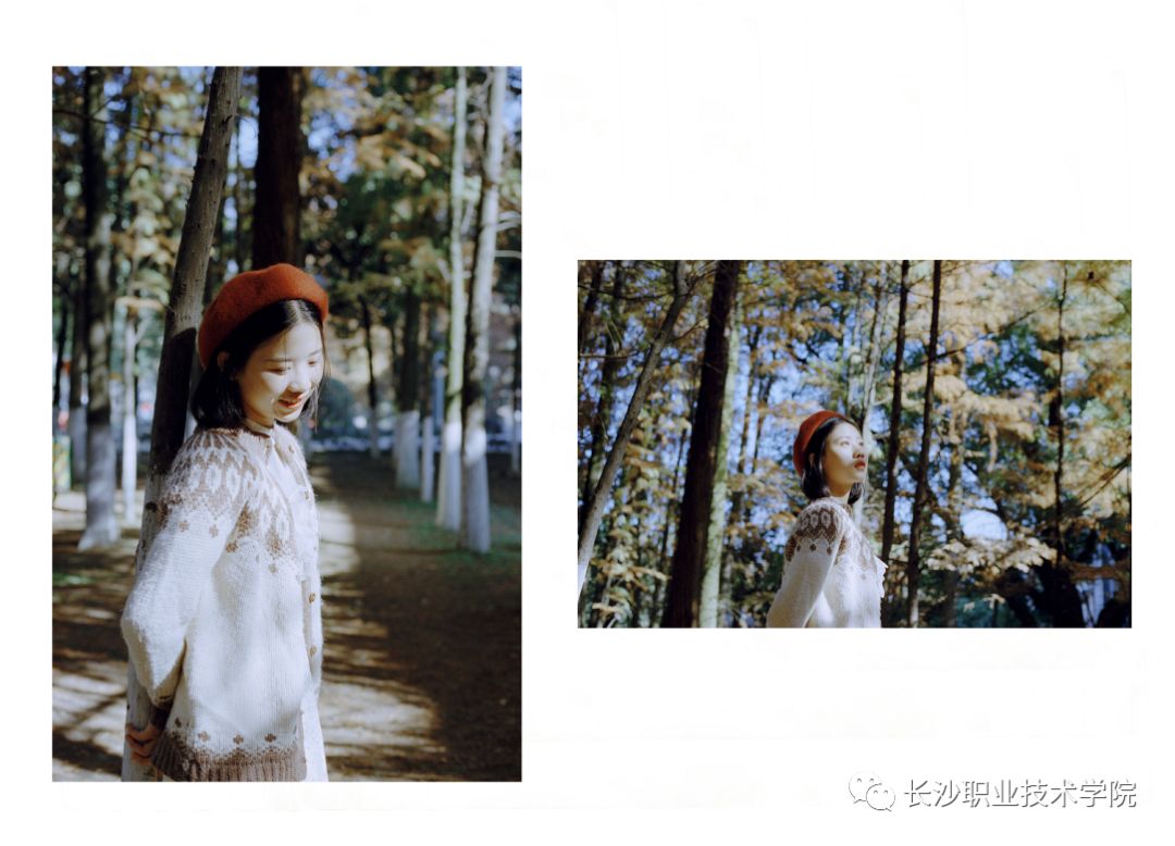 【主编夜话NO:1】17岁