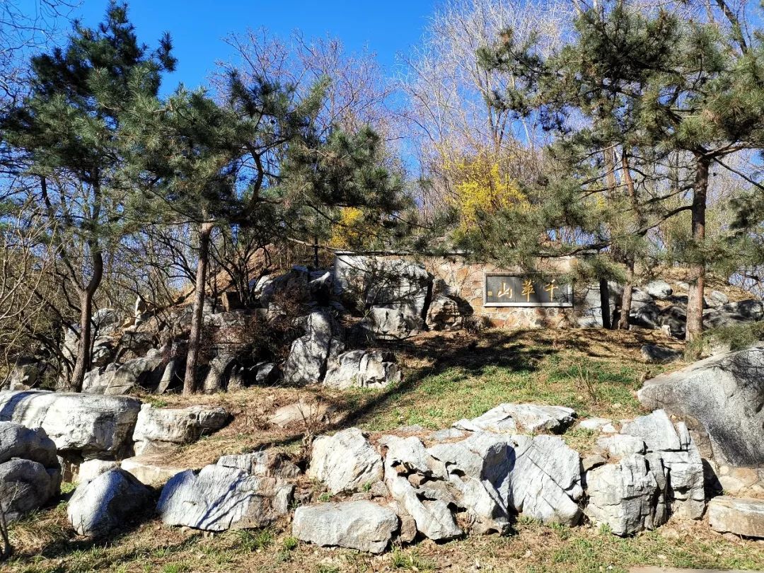 【方志四川•传统文化】中央*党**校景观中的传统文化