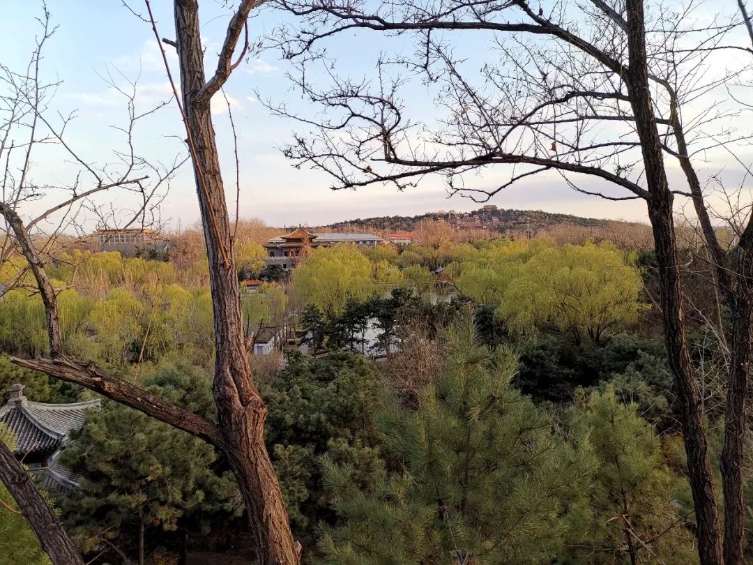 【方志四川•传统文化】中央*党**校景观中的传统文化