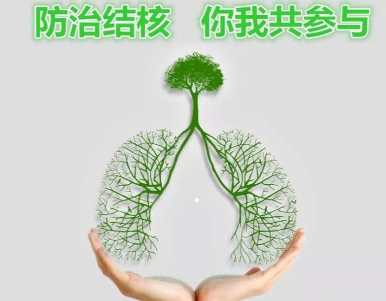 治疗结核病最快最好方法,坚持正规治疗下结核病可以治好吗