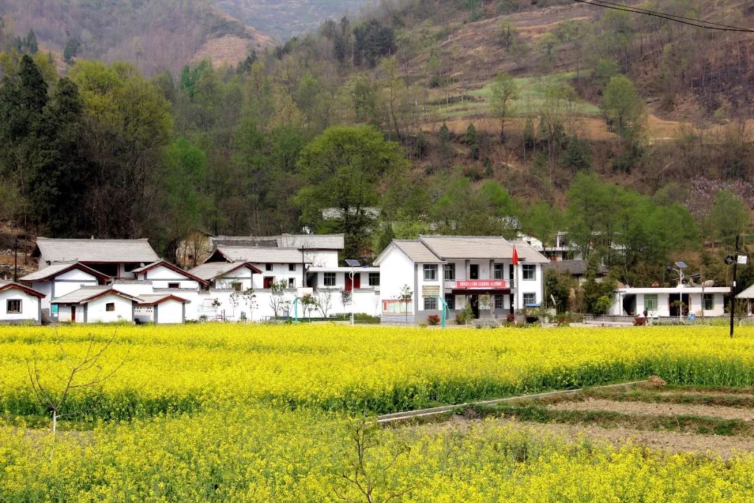 康县自驾游最新消息,康县旅游攻略自由行