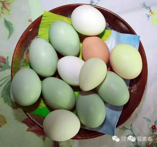 康县自驾游最新消息,康县旅游攻略自由行