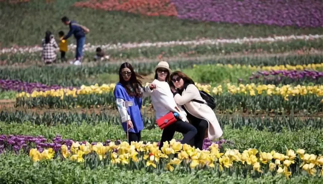 2017最佳致富商机,三大致富商机