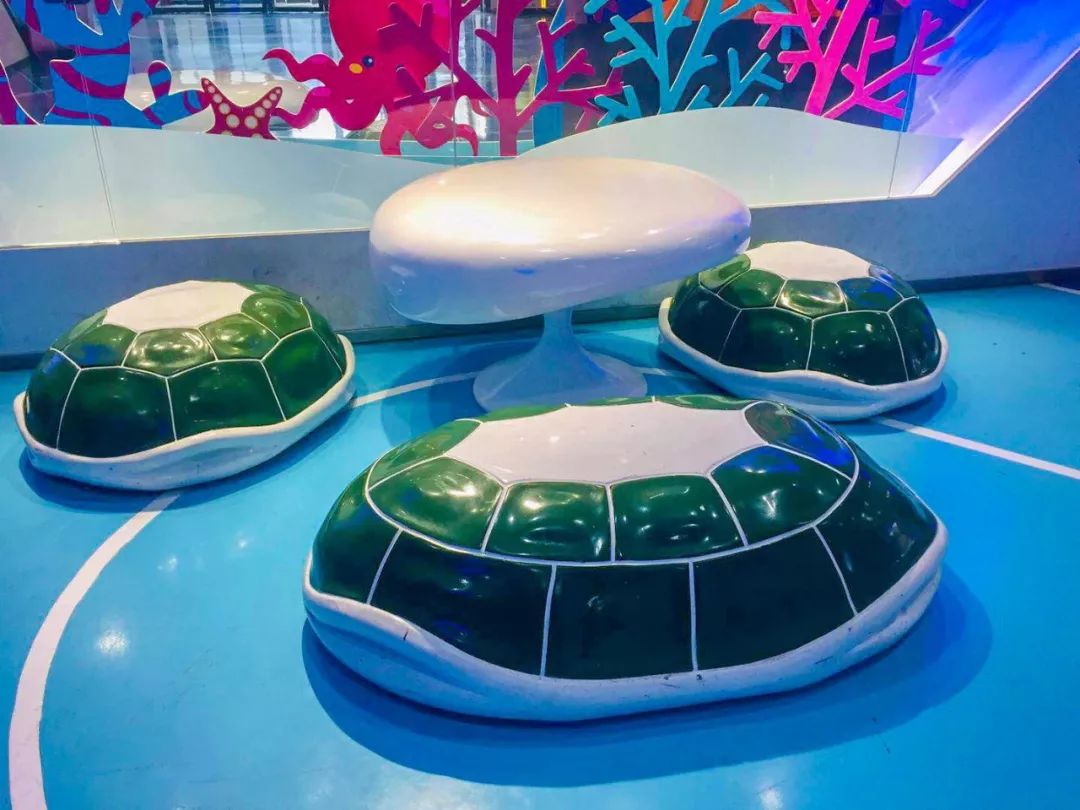 聊城海底世界游玩攻略,从聊城出发亲子游