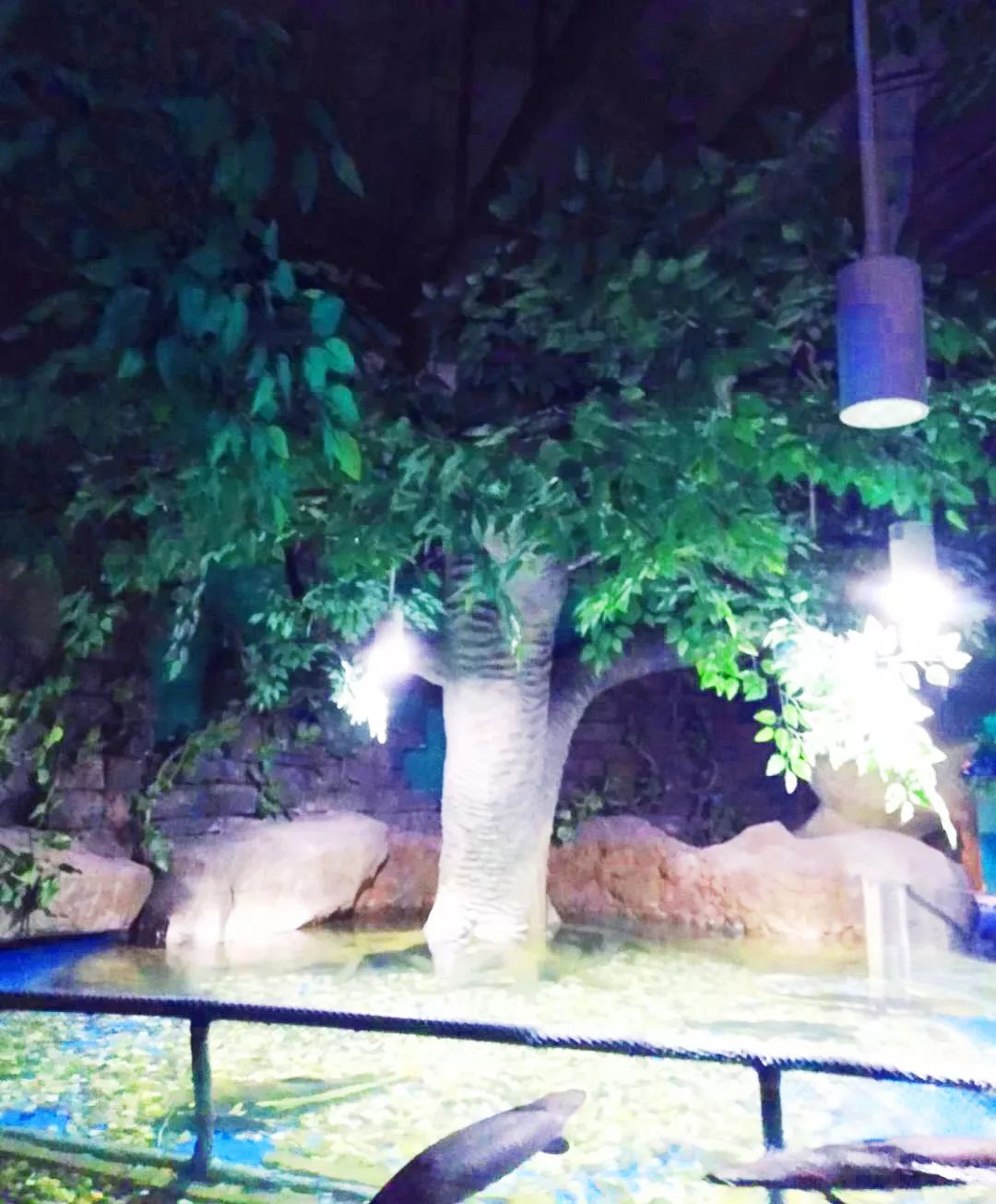 聊城海底世界游玩攻略,从聊城出发亲子游