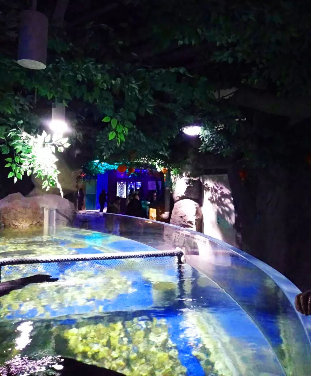 聊城海底世界游玩攻略,从聊城出发亲子游