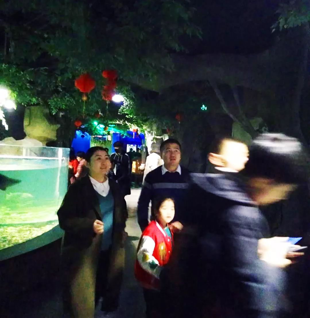 聊城海底世界游玩攻略,从聊城出发亲子游
