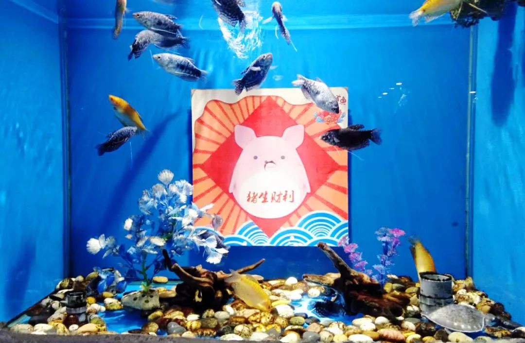 聊城海底世界游玩攻略,从聊城出发亲子游