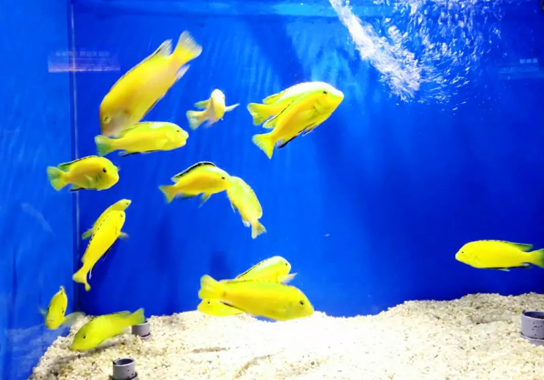 聊城海底世界游玩攻略,从聊城出发亲子游