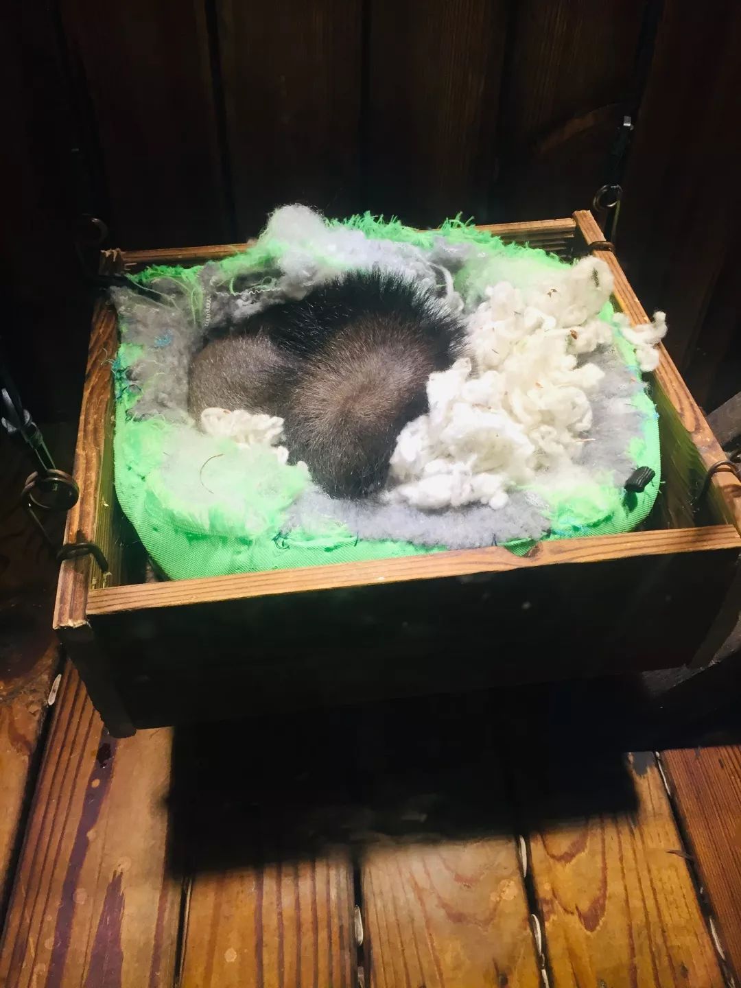 聊城海底世界游玩攻略,从聊城出发亲子游