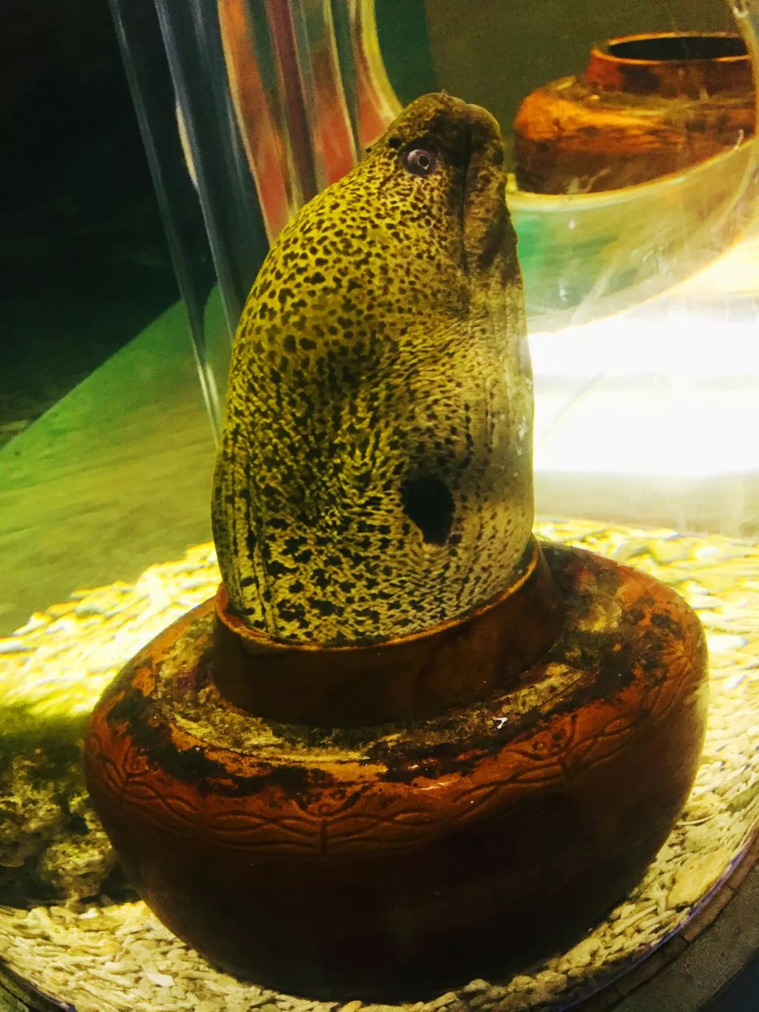 聊城海底世界游玩攻略,从聊城出发亲子游