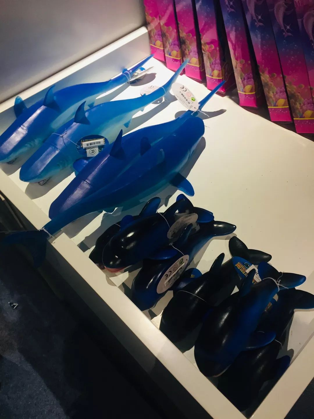 聊城海底世界游玩攻略,从聊城出发亲子游