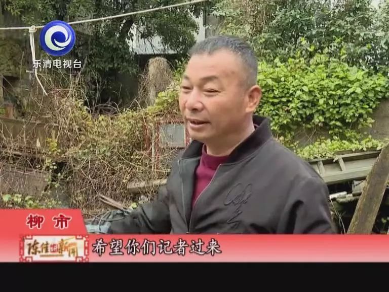 一群鸟一直鸣叫,小鸟半夜成群鸣叫怎么回事