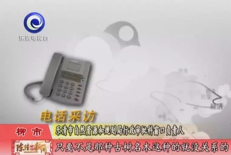 一群鸟一直鸣叫,小鸟半夜成群鸣叫怎么回事