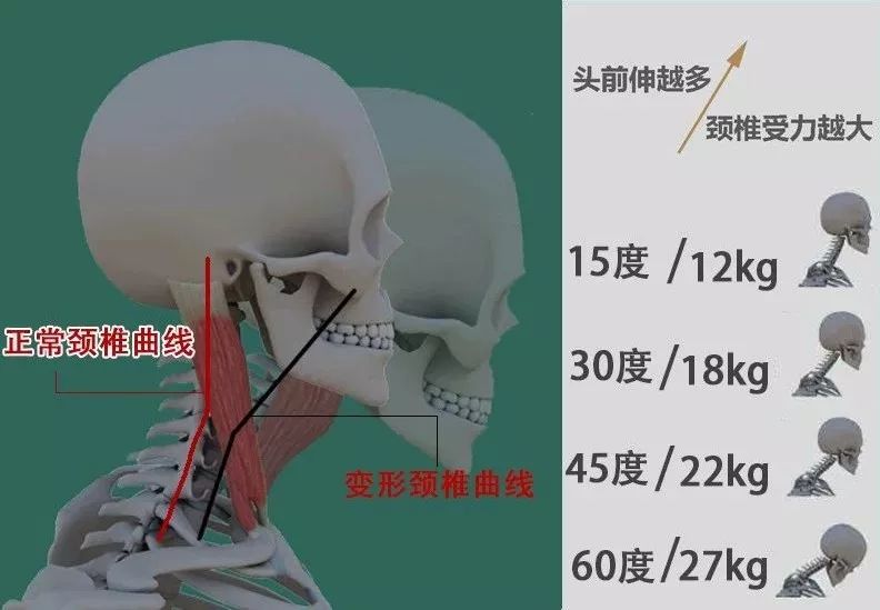 按压式旅行u枕,u型头枕旅行必备
