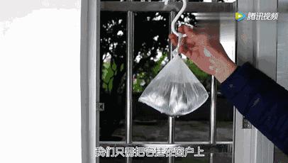 用洗衣粉消灭家中小飞虫,用洗衣粉灭蟑螂的最好方法