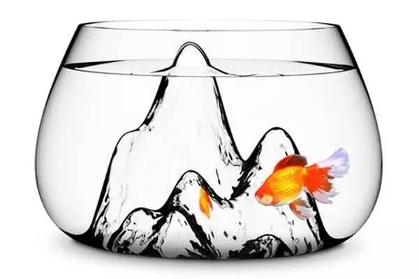 清洗鱼缸的好方法,下滤鱼缸主缸多久清洗