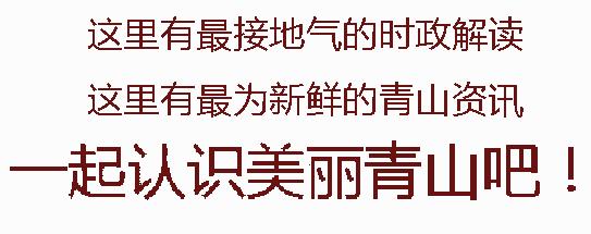 周末好去处户外活动,周末好活动
