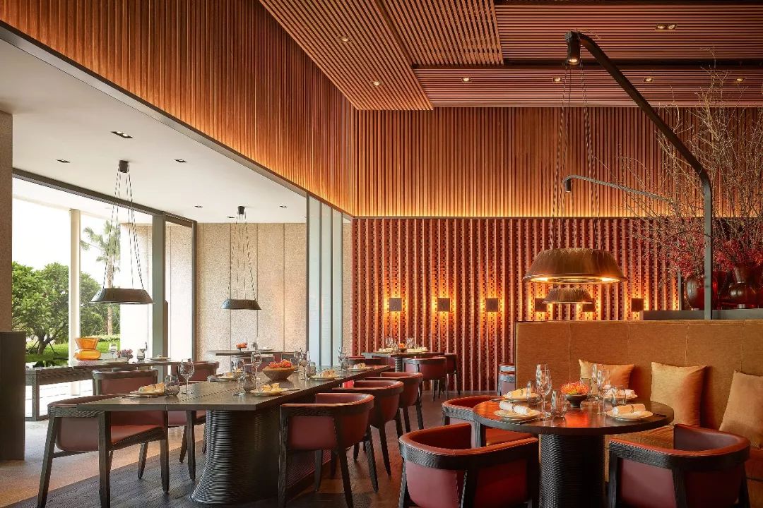 打卡厦门恒禾七尚酒店,厦门璞尚酒店点评