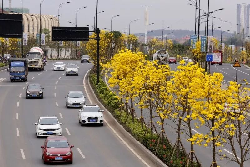 17岁女孩查出宫颈癌的征兆,17岁女孩患有宫颈癌是什么原因