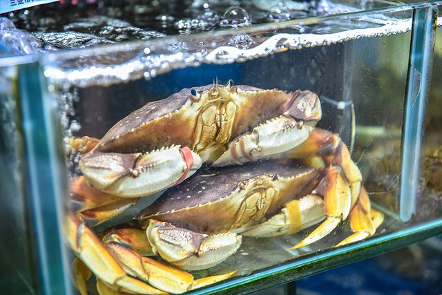 三亚风情街网红打卡地,四川去三亚5天4晚自由行网红打卡