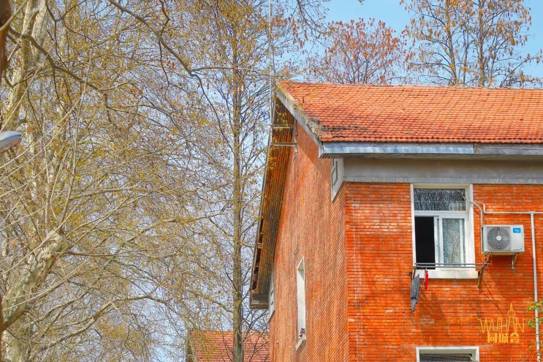 华中农业大学校园到底有多美,华中农业大学园艺林学院