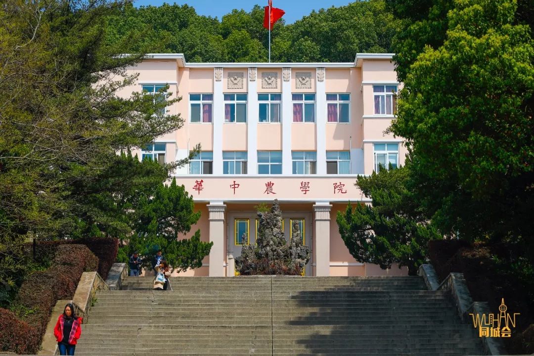 华中农业大学校园到底有多美,华中农业大学园艺林学院