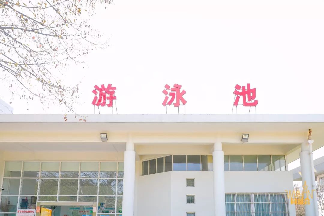 华中农业大学校园到底有多美,华中农业大学园艺林学院
